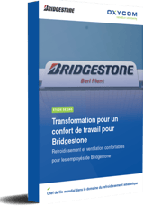 Bridgestone_FR_small