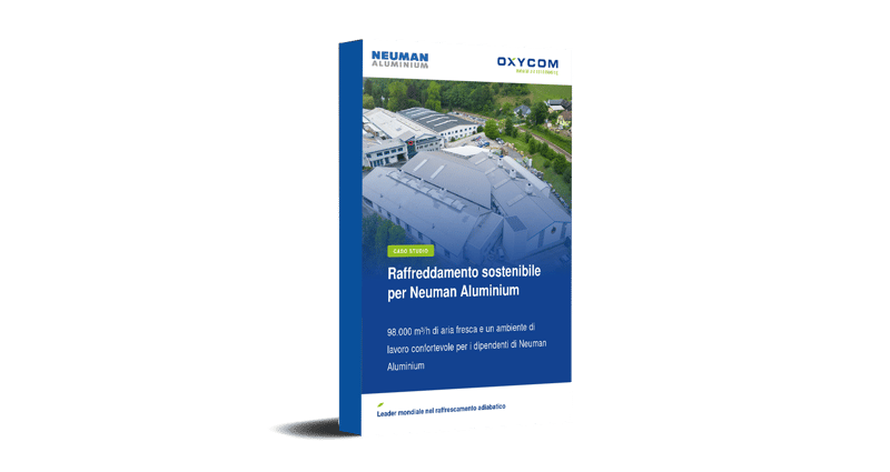 Neuman_Mock-up_IT